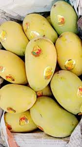 Premium Pakistani Chaunsa Mangoes | Fresh 5KG Box – Worldwide Delivery