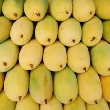 Premium Pakistani Chaunsa Mangoes | Fresh 5KG Box – Worldwide Delivery